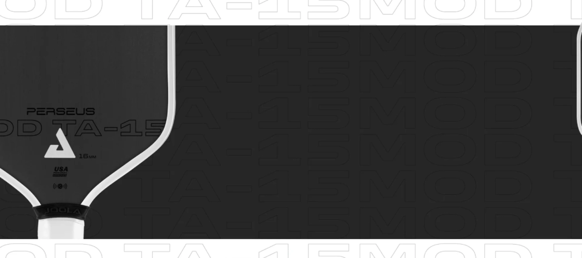 Vợt Joola Pro-Player Edition